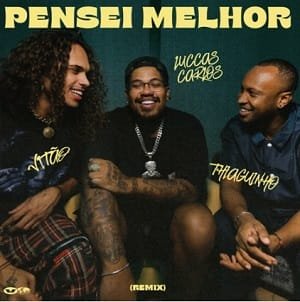 Capa da letra da música Pensei Melhor (Remix)