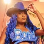 Capa da letra Vai Maluca