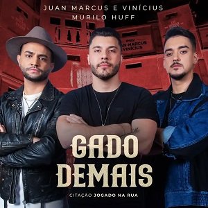 Capa da letra da música Gado Demais