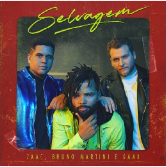 Capa da letra da música Selvagem