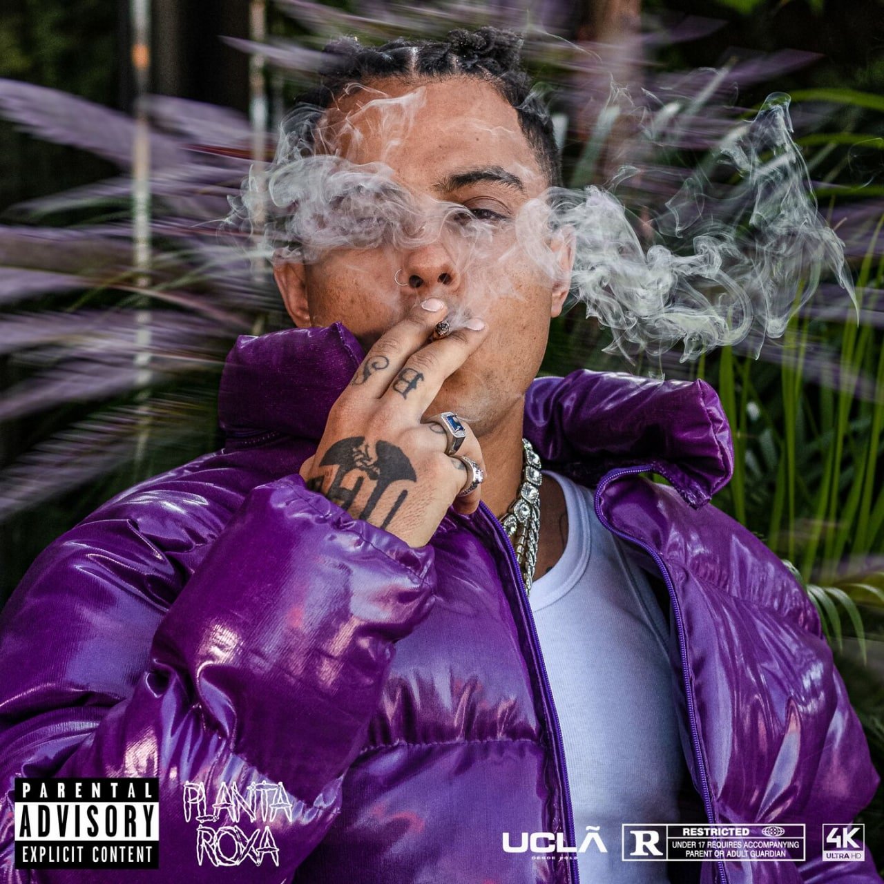 Capa da letra da música Planta Roxa