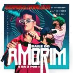 Capa da letra Baile Do Amorim