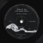 Capa da letra Break My Soul (THE QUEENS REMIX)