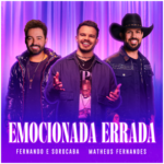 Capa da letra Emocionada Errada