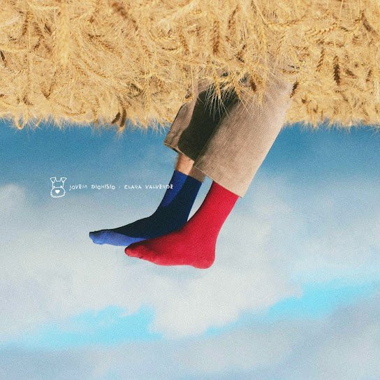 Capa da letra da música Amor de Cão