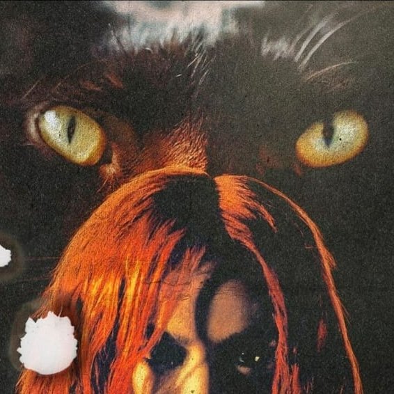 Capa da letra da música Gatubela