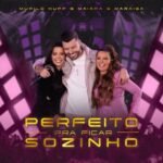 Capa da letra Perfeito Pra Ficar Sozinho