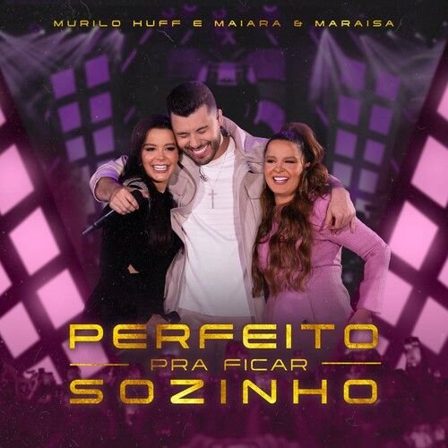 Capa da letra da música Perfeito Pra Ficar Sozinho