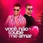 Capa da letra Você Não Soube Me Amar