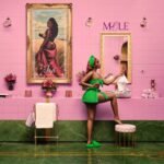 Capa da letra Mole