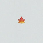 Capa da letra Aquela Sorte