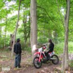 Capa da letra Say What u Mean (tradução)