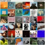 Capa da letra MARCELO YUKA