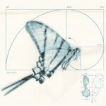 Capa da letra Get What You Want (tradução)