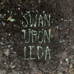 Capa da letra Swan Upon Leda (tradução)