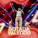 Capa da letra Botada Valendo