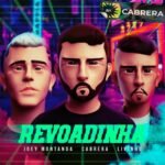 Capa da letra Revoadinha