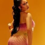 Capa da letra I Wish You Roses (Tradução)