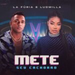 Capa da letra Mete seu cachorro