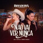 Capa da letra Não Vai Ver Nunca