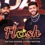 Capa da letra Flash
