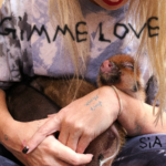 Capa da letra GIMME LOVE