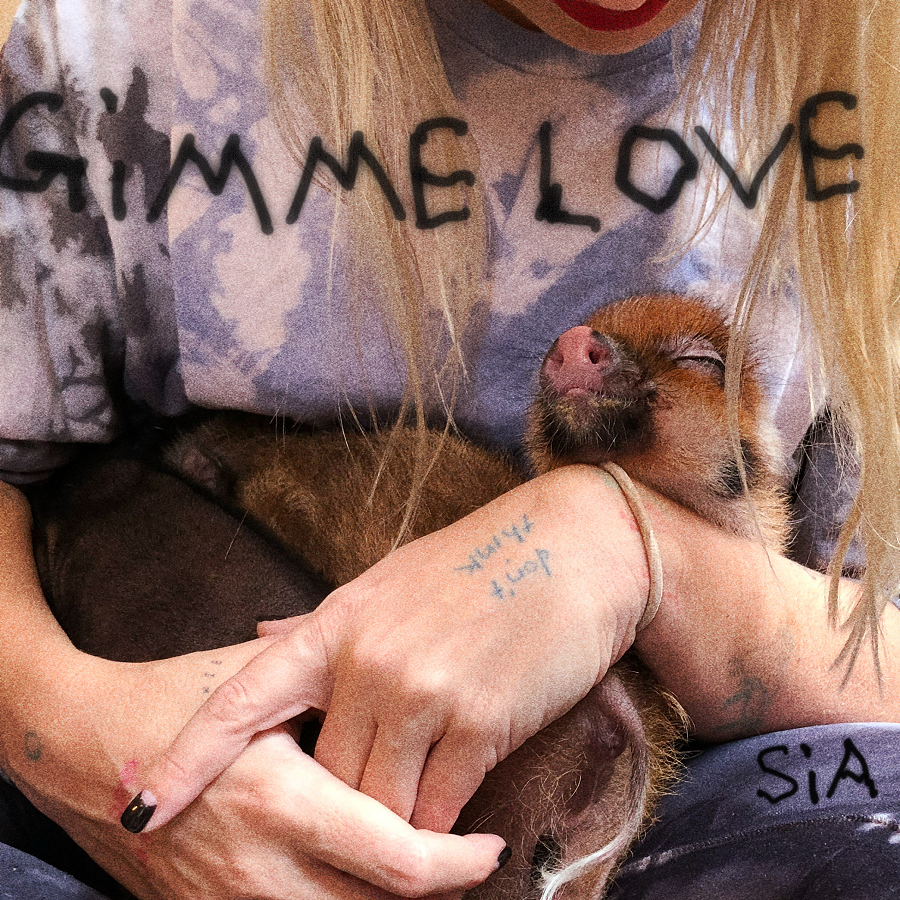 Capa da letra da música GIMME LOVE