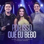 Capa da letra Por Isso Que Eu Bebo
