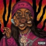 Capa da letra Skitzo