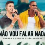 Capa da letra Não Vou Falar Nada
