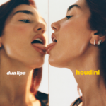 Capa da letra Houdini