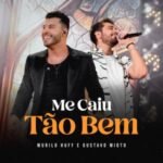 Capa da letra Me caiu tão bem