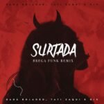 Capa da letra Surtada (Remix Brega Funk)