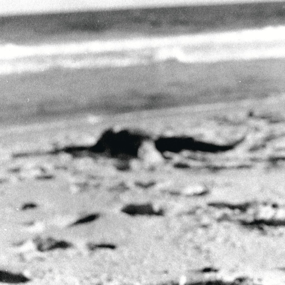 Capa da letra da música Ginger e Red