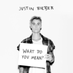Capa da letra What Do You Mean?