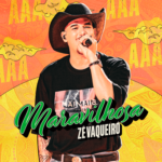 Capa da letra Maravilhosa