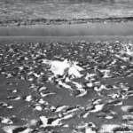 Capa da letra Corpo e Colo