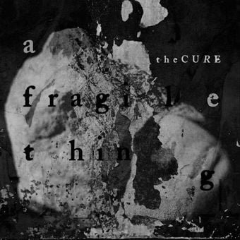Capa da letra da música A Fragile Thing (Tradução)
