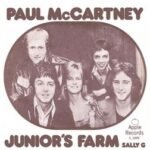 Capa da letra Junior’s Farm