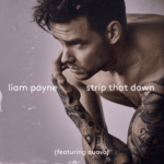Capa da letra Strip That Down