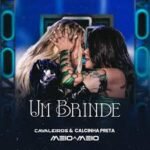 Capa da letra Um Brinde