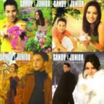 Capa do álbum As Quatro Estações (O Show)