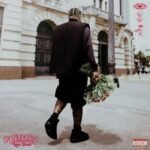 Capa do álbum Busco Romance Love Show