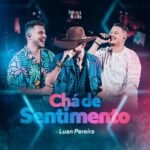 Capa da letra Chá de Sentimento