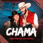Capa da letra Chama