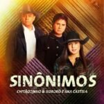 Capa da letra Sinônimos