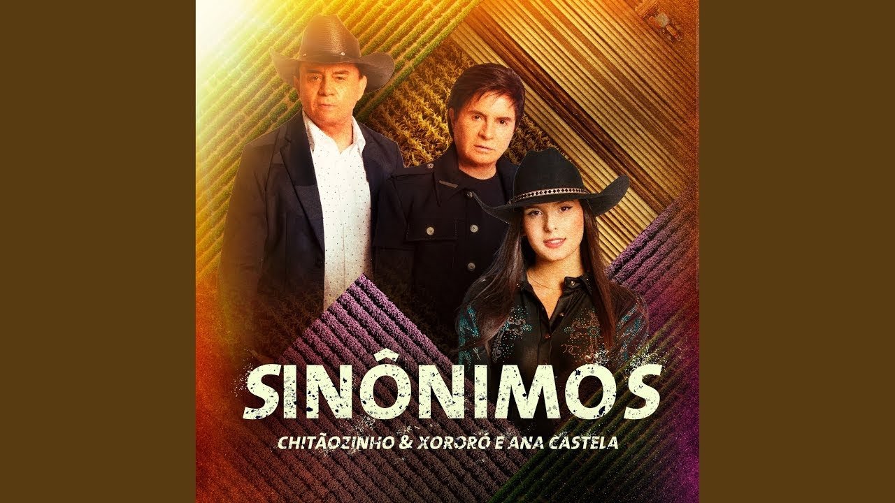 Capa da letra da música Sinônimos