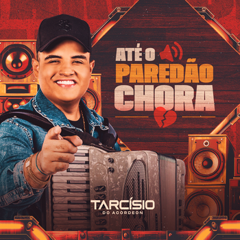 Capa da letra da música Te Olhar e Te Tocar