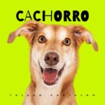 Capa da letra Cachorro