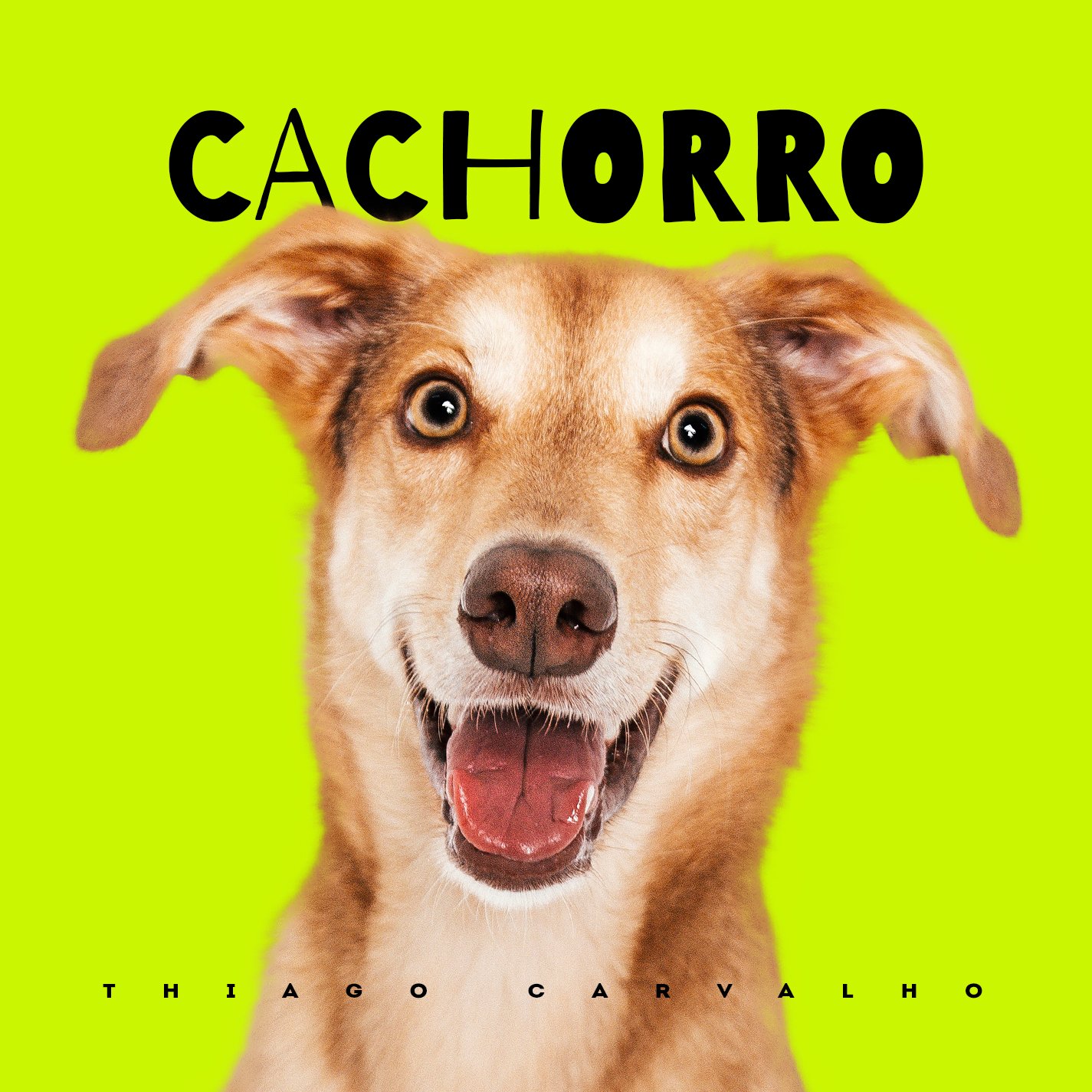 Capa da letra da música Cachorro